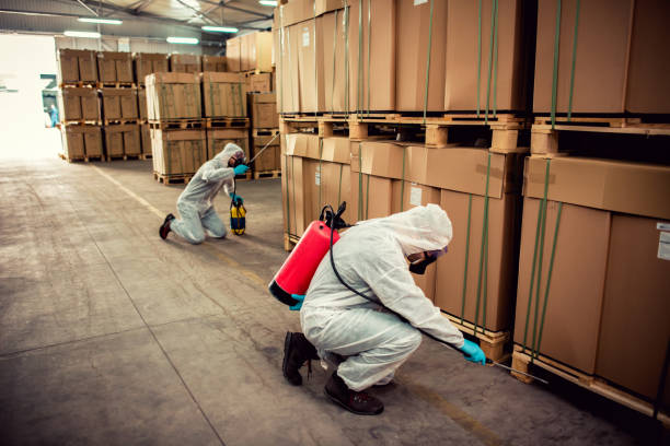 Best Affordable Pest Control Services  in Wading River, NY