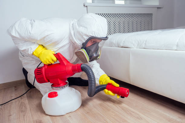 Flea Control Services in Wading River, NY