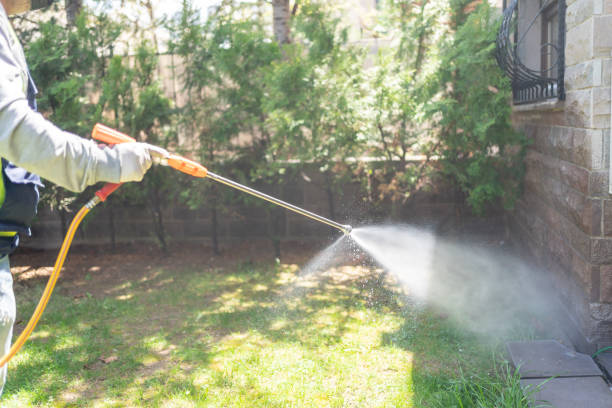 Best Local Pest Control Services  in Wading River, NY