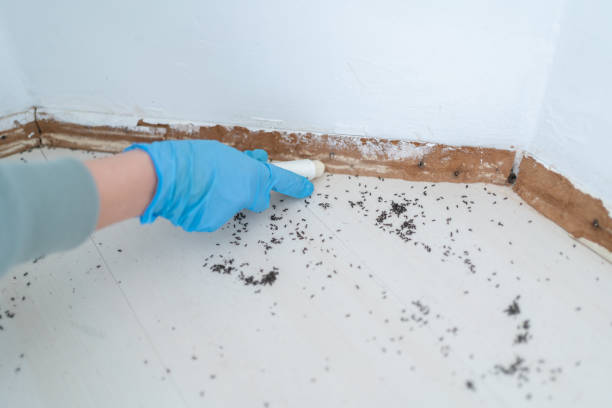 Best Wildlife Control Services  in Wading River, NY